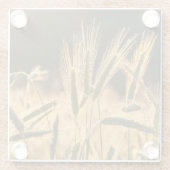 Frische Weizenfelder Glasuntersetzer (Rückseite)