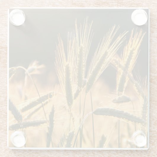 Frische Weizenfelder Glasuntersetzer (Rückseite)