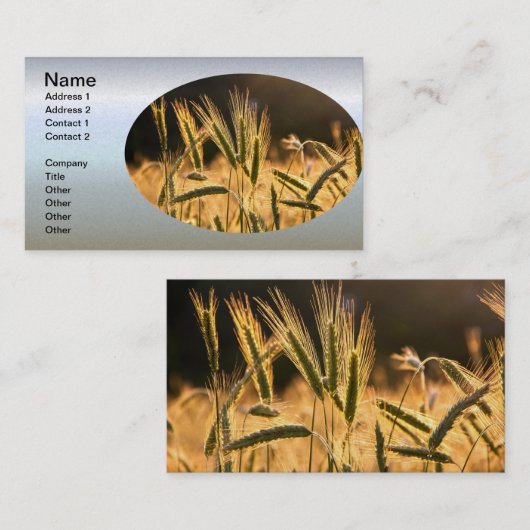 Frische Weizenfelder Visitenkarte (Vorne/Hinten)