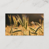 Frische Weizenfelder Visitenkarte (Rückseite)