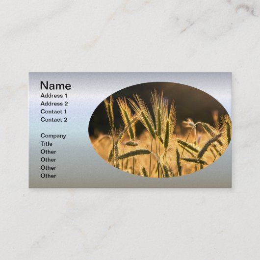 Frische Weizenfelder Visitenkarte (Vorderseite)