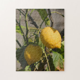 Frische Zitronen an einem Baum Puzzle