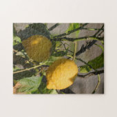 Frische Zitronen auf einem Baum Puzzle (Horizontal)