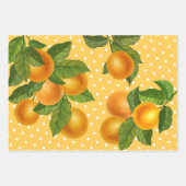 Frische Zitrusfrüchte Orangen rustikales Land Aqua Geschenkpapier Set (Vorderseite 2)