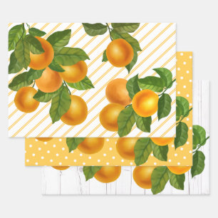 Frische Zitrusfrüchte Orangen rustikales Land Aqua Geschenkpapier Set