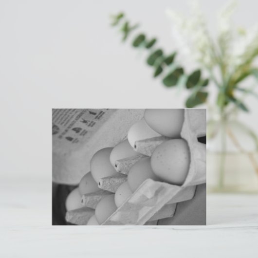 Frischeier Postkarte (Stehend Vorderseite)