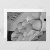 Frischeier Postkarte (Vorne/Hinten)