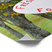 Frischeier zum Verkauf in Vermont Unterschrift Poster (Ecke)