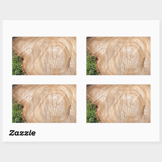 Frischer Baumstamm Rechteckiger Aufkleber (Blatt)