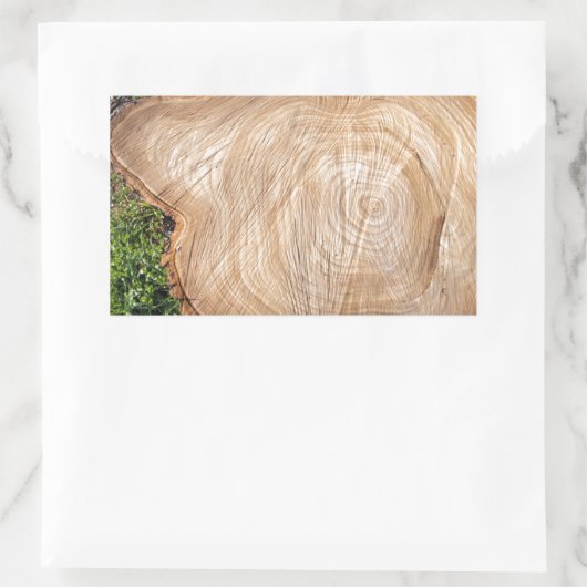 Frischer Baumstamm Rechteckiger Aufkleber (Tasche)