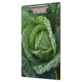Frischer Bio Kohlkopf Klemmbrett (Links)