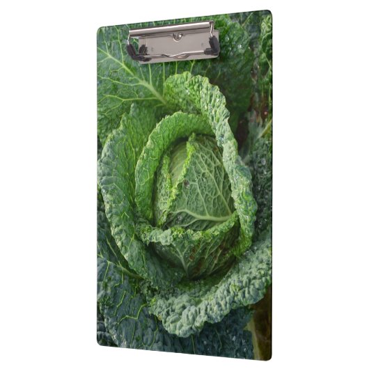 Frischer Bio Kohlkopf Klemmbrett (Links)