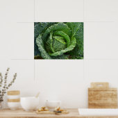 Frischer Bio Kohlkopf Poster (Küche)