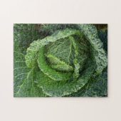 Frischer Bio Kohlkopf Puzzle (Horizontal)