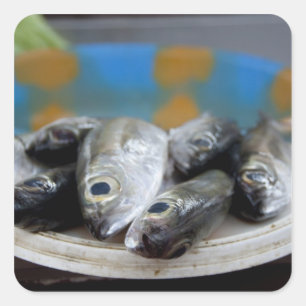 Frischer Fisch auf dem Fischmarkt (Mercado de Peix Quadratischer Aufkleber