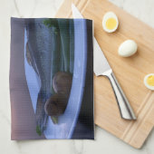 Frischer Fisch auf dem Teller mit Gemüse Handtuch (Viertel Falte)