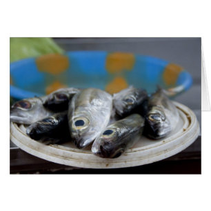 Frischer Fisch auf Fischmarkt Mercado de Peixe),