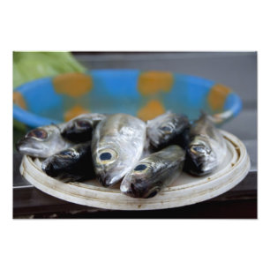 Frischer Fisch auf Fischmarkt Mercado de Peixe), Fotodruck