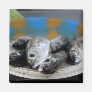 Frischer Fisch auf Fischmarkt Mercado de Peixe), Magnet