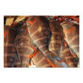 Frischer Fisch Fotodruck (Vorne)