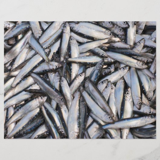 Frischer Fisch - Lebensmittelzutaten. Flyer (Vorne)