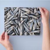 Frischer Fisch - Lebensmittelzutaten. Flyer (Hand)