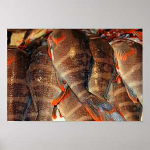 Frischer Fisch Poster