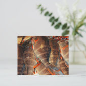 Frischer Fisch Postkarte (Stehend Vorderseite)
