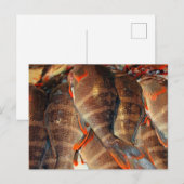 Frischer Fisch Postkarte (Vorne/Hinten)