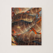 Frischer Fisch Puzzle (Vertikal)