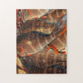Frischer Fisch Puzzle (Vertikal)