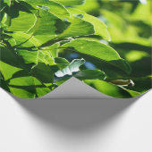 frischer Frühling, sommerliche grüne Blätter. Natu Geschenkpapier (Ecke)