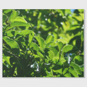 frischer Frühling, sommerliche grüne Blätter. Natu Geschenkpapier (Flach)