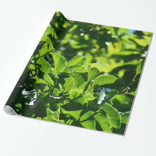 frischer Frühling, sommerliche grüne Blätter. Natu Geschenkpapier
