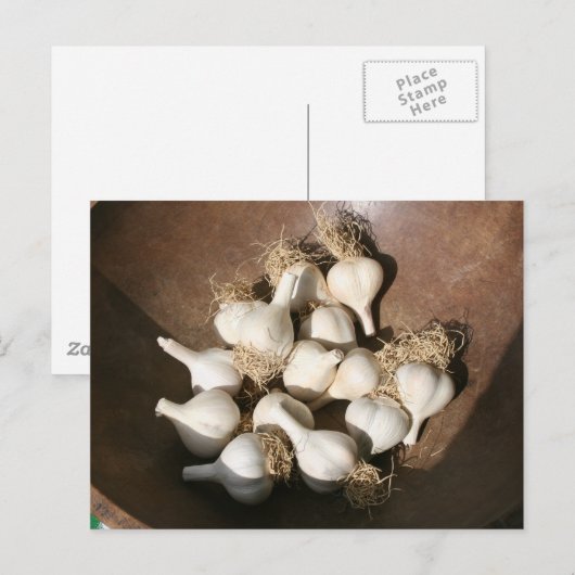 Frischer Knoblauch am Postkarte (Vorne/Hinten)
