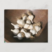 Frischer Knoblauch am Postkarte (Vorderseite)