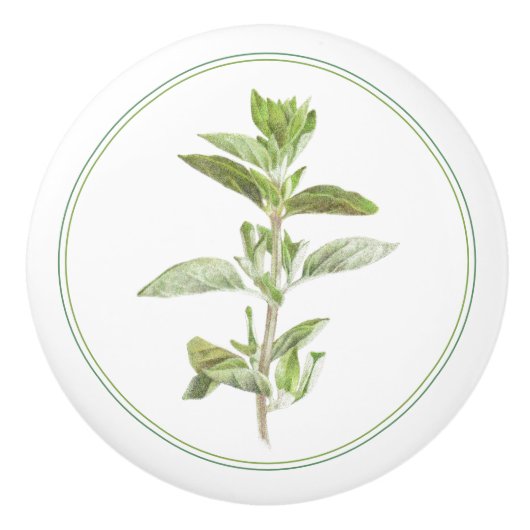 FRISCHER OREGANO-Keramik Keramikknauf (Vorderseite)