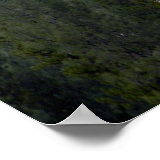 Frischer Pulverschnee..... Poster (Ecke)