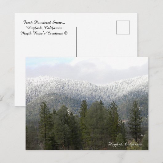 Frischer Pulverschnee... Postkarte (Vorne/Hinten)