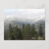Frischer Pulverschnee... Postkarte (Vorderseite)