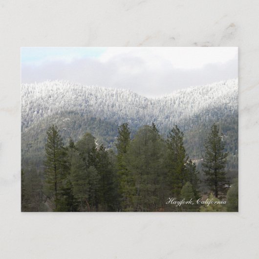 Frischer Pulverschnee... Postkarte (Vorderseite)