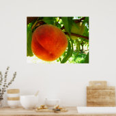 Frischer Reifepeach Poster (Küche)