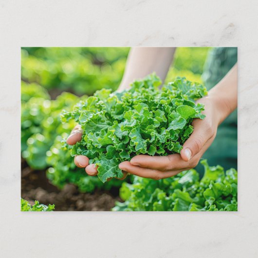 Frischer Salat mit lebhaften Grüntönen Feiertagspostkarte (Vorderseite)