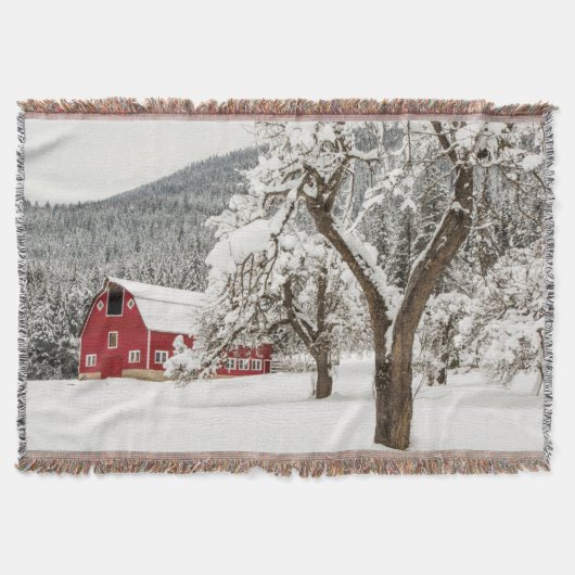 Frischer Schnee auf roter Scheune Decke (Vorderseite)