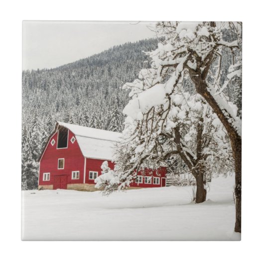 Frischer Schnee auf roter Scheune Fliese (Vorderseite)