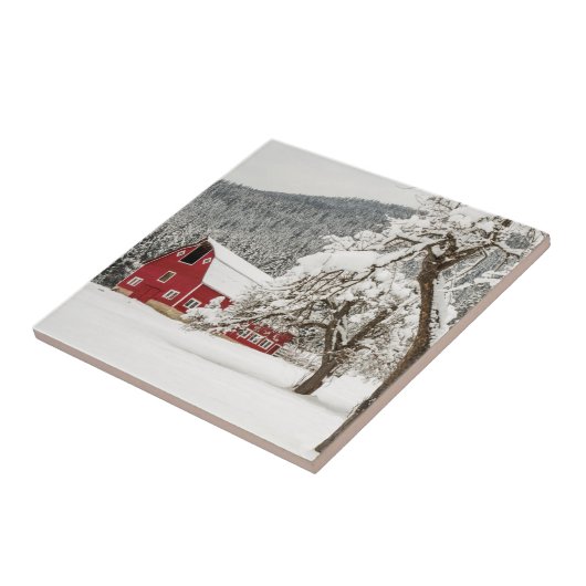 Frischer Schnee auf roter Scheune Fliese (Seite)