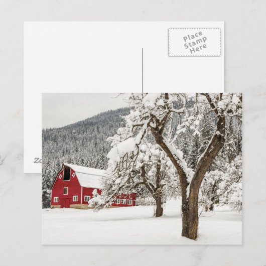 Frischer Schnee auf roter Scheune Postkarte (Vorne/Hinten)
