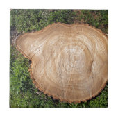 Frischer Schnittbaumstumpf Fliese (Vorderseite)