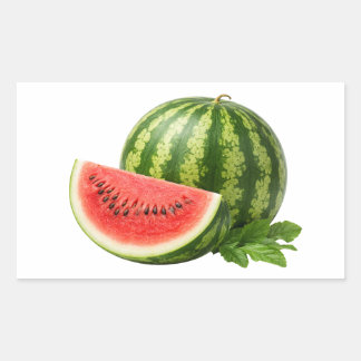 Frischer Wassermelonen-Slice und Sticker für ganze