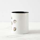 Frisches, auf weißem Grund Abgeschiedenes Wachtel Zweifarbige Tasse (Mittel)